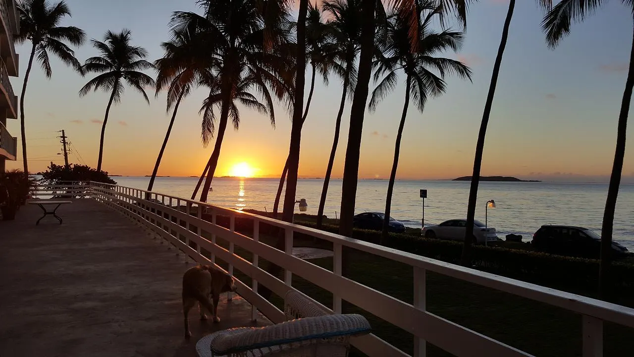 Cozy Apartment, Ocean Front Fajardo 0*,
